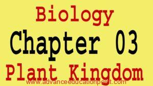 biology03