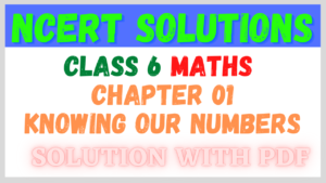 NCERT Solutions for Class 6 Maths