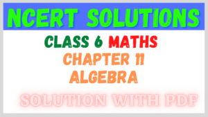 NCERT Solutions for Class 6 Maths