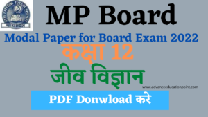 mp board